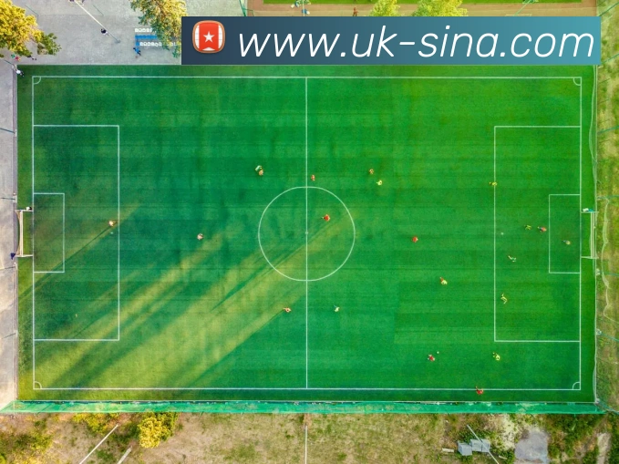 App Interface Preview